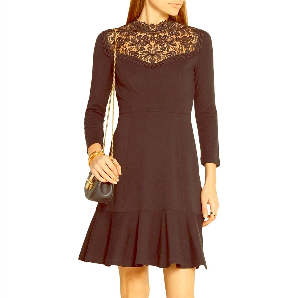 Erdem Crochet-Paneled Stretch-pointe Dress